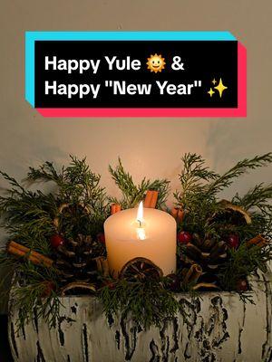 Animals & Plants are still resting, you can too until spring 🌻 It's natural, like us 🥰 #Happynewyear #newyearseve #newyear #2024 #2025 #happyyule #yulelog #pagan #naturelover #nature  #fyp 