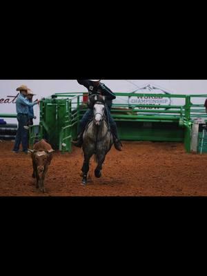 Turn your phone to see a 2024 recap of the best head and heel horses in the world. 🖤 @American Rope Horse Futurity #ropehorse #rodeo 