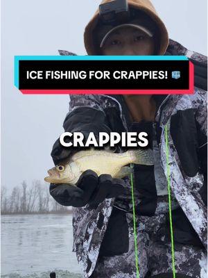 I Love Ice Fishing For Crappies! 🎣🧊 #fishing #fishingtiktoks #icefishing #icefishingtiktok #fishingaddict #fishingvideos #crappie #crappiefishing #crappies 