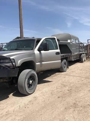 Never will i own a chevy again😭 #fyp #chevy #dodge #ford #60powerstroke #59cummins #73powerstroke #dually #flatbed #xyzbca #cowboyin 