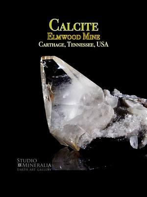 Gemmy Elmwood Calcite, the matrix sits at two angles to show the  miniature Calcite crystals that accompany the main. Minor Sphalerite.  Elmwood Mine, Carthage, Smith County, Tennessee, USA. No longer  producing specimens. 1.5" Join Us LIVE or on studiomineralia.com! Studio Mineralia ✨link in bio ✨ Earth Art Gallery #crystals #crystalcollection #minerals #mineralspecimens #mineralsoftiktok #macroworld#crystalsoftiktok #crystallove #crystalenergy #crystalcollector #NYE#crystalvibes #crystalmagic #mineralcollection #crystaltok🧚🏻‍♀️✨🦄 #fypcrystals #fyp