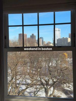 weekend in boston ☕️⛄️🤎🍷 #boston #bostonvlog #travelvlog 