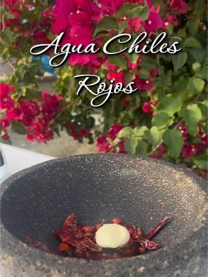 #aguachilesrojos #aguachiles #mariscos #camaron #seafood #molcajete #chile #chiledearbol #concinandoconlabrenda #fy #recetasfaciles #recetasdetiktok #salsaroja #recetasdesalsas #creatorsearchinsights #recetasfaciles 