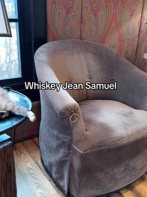 If no pets allowed, why is it so petable?!?. #whiskeyjeansamuel #makersmark #kentucky #bourbontrail #catsoftiktok @makersmarkdistillery 