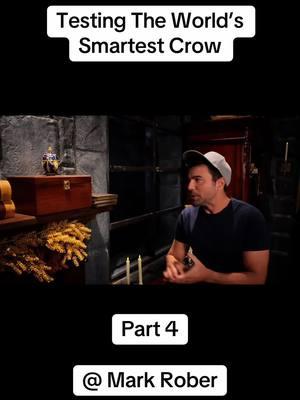 Part 5 is up! #fyp #crow #markrober 