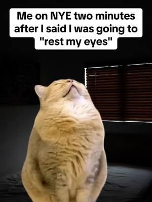 Me on NYE two minutes after I said I was going to "rest my eyes" #meme #memes #relatablememes #relatablememe #relatablecontentonly #relatablehumor #newyearseve #nye 