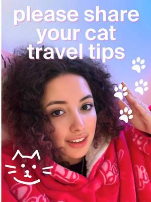 please help me 🙏 any cat travel tips are appreciated ✈️  #travelwithpets #cattravel #traveltips 