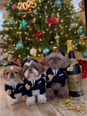 A New Year’s toast from Vegas to the year it’s been and the one it’s yet to be!🍾🥂 May 2025 be full of cheers and happiness 🎆🎇 #newyearseve #newyear #dogsoftiktok #dogholiday #happynewyear #dogpawty #newyearparty 