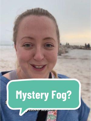 Just did a photo shoot in the mystery fog in St. Pete, FL 😅  Anyone else see strange fog in their area?? Any theories??  I love a good conspiracy theory, but it seemed like normal fog to me - just kind of unusual to see it on the beach at sunset 🤔 Who knows?! Anything seems possible these days. #fog #mysteryfog #foggy #StPeteFL #stpetephotographer #stpetefamilyphotographer #floridaphotographer #foggyweather 