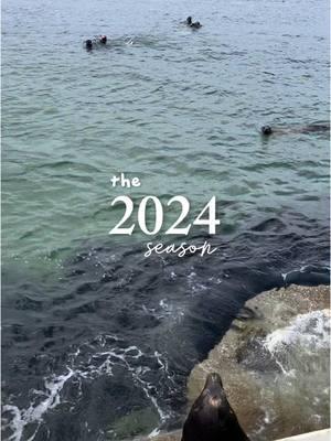 #ekspresikan2024 goodby 2024! #BookTok #bookish #bookworm #tbbtdge