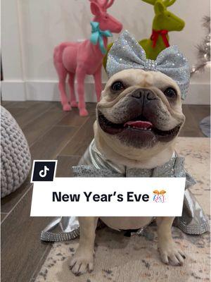 Wishing everyone a Happy New Year’s Eve! 🎊🎉 #frenchbulldog #cremethefrenchie #dog #frenchiesoftiktok #cutefrenchbulldogpuppy #dogvlog #dogsinpajamas #dogsinclothes #PetsOfTikTok #frenchielover #newyearseve 