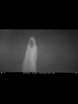 #jin #ghosts #scary #spooky #f #fyp #foryoupage #fypシ #fy #fypシ゚viral #fypage #foryourpage #Evil #Love #God #satan #devil #interesting #trending #trendingvideo #viralvideo #viraltiktok #like #short #shorts #horror #camera #youtube #twitch #movie #tv #chill #cold #wow #creepy #sweet #texas #haunted #watch #weird #duet #duett #dueto #duetwithme #duetto #1 #spirituality #witchtok #witch 