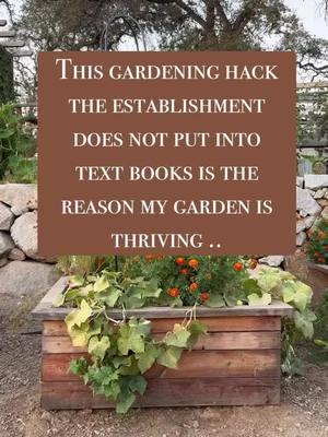 Learn how to harness the earths power with Electro Culture. This ancient technique will help increase yields by 40-70%. I could say more but try it for yourself !! 🪴👩‍🌾✨🫶🏻 #electroculture #electroculturegardening #electroculturegarden #garden #gardening #gardenproject #hack #tip #gardenhack #growfood #organicgardening #growfoodathome #homestead #backyardgarden