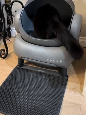 No more scooping litter!!!  Use Code: NEAK30OFF for extra $30 off!!   https://noxl.ink/rIlY3m #catsoftiktok #cats #neakasa @Neakasa #automaticlitterbox #litterbox