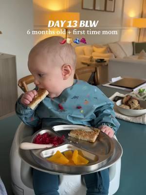 Day 13 BLW!!! 🍌🫐🍓🍇 This series is flying by, I hope you’re enjoying it!!  #firsttimemom #momlife #MomsofTikTok #6months #6monthsold #blw #blwideas #momtok #babyleadweaning #babyleadweaningideas #babyfood #blwrecipes #blwideas 