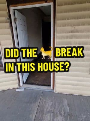 Did the cat break into this house? 🙀 #cat #catsoftiktok #ohio #cleveland #foreclosure #hood #dangerous #shocking #fyp #job #realestate #investing #lock #houseoftiktok 