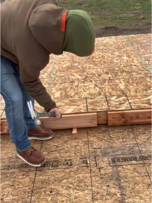 The downside to sheeting walls on the ground is they are super heavy! #framing #framers #comstruction 