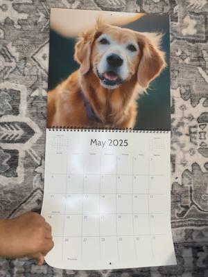 DRUUUUUU DA LEEEEGSSSSSS! 🐕 the girls loved their calender!!! Nala stomps all day everyday ❤️ love our blondie! #fyp #nalastomp #shestomps #parati #parami #calender #2025 #nala @adventuringwithnala 