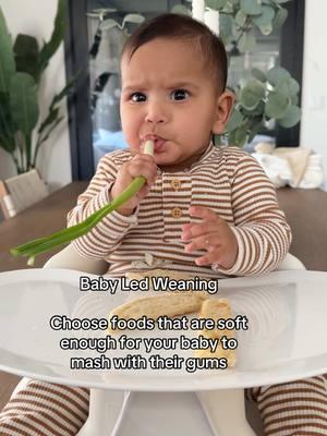 BLW #blw #babyledweaning #Love #nimani #babylove #nimanimalhotra #baby #babytiktok #wife #fatherdaughter #family 