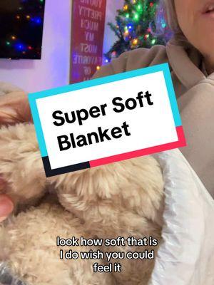 We gave these to so many people for gifts this year. Perfect for everyone to have their own on movie night #blanket #blankets #fluffyblanket #softblanket #movieblanket #couchblanket 