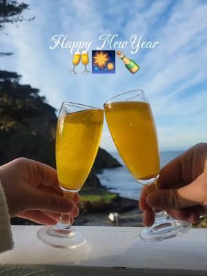 Happy New Year 🎉 🥂🎆🍾 #happynewyear #newyear2024 #happynewyear #satisfying #explore #foryoupage #champagne #mimosa #sparklingmemories 