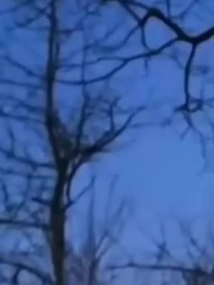 Triangle ufo flying over group of onlookers #ufo #uap #tr3b #blacktriangleufo #aliens #et #space #ssp @UFOTV® @Spotted ufos ghosts @UFOsAndStrangeStuff2 @aliensexposed @UFOTV-VIRAL 