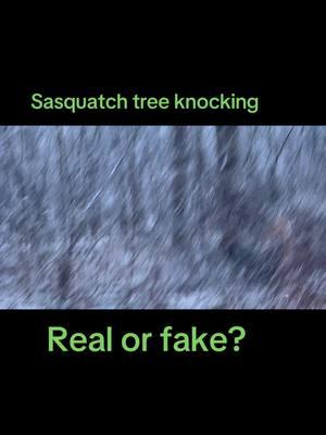 Sasquatch camping #2024Trending #LOOK #LOOK #Michigan #Cryptid #Paranormal #wintercamping#snowstorm #TikTok #lol #trending2025 #Sasquatch #realorfake? #