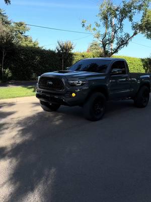 🍾🎉 #tacoma #tacoma4x4 #tacomabeast #tacotuesday #ruta #nardogrey #singlecab 