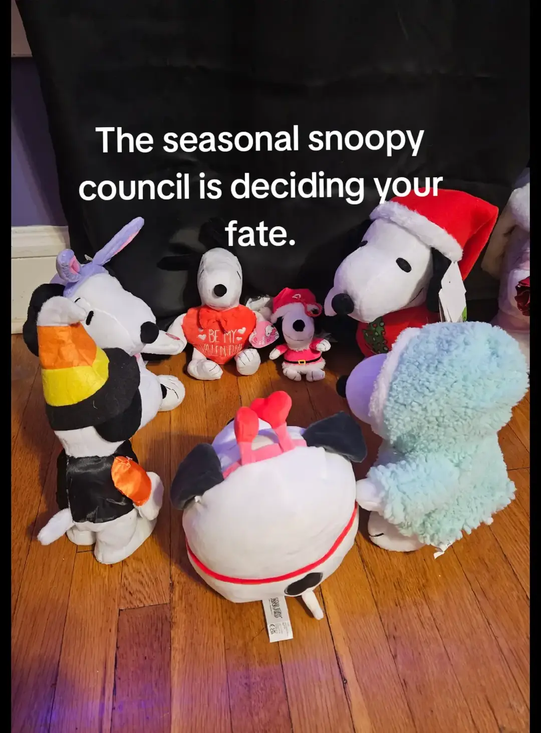 The snoopy council has decided. ✨️ so it is told. #snoopyplush #snoopy #snoopynewyear #peanutsgang #snoopylover #nye #2025 #happynewyear 