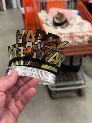 Leo said Happy New Year everyone! Hope next year is purrfect #catdad2020 #catsoftiktok #newyear #homedepot 