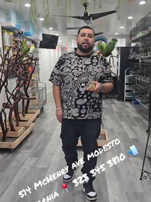 #miraza #mancitoscomoalagentelegusta701 #yellowhead701 #viral #fyp #fypシ゚viral #foryou #parati #eldelosfrenchies701 #the_french701_2 #eldelospajaros701 #parrotsoftiktok #happynewyear #2025 #paratiiiiiiiiiiiiiiiiiiiiiiiiiiiiiii #trending #fory #foryou #eldelospajaros701 #fypシ゚viral #fyp 