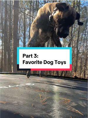 Part 3 of my series on our favorite dog toys - a trampoline! This has been one of Gronk and GG’s favorite activities/toys since they were puppies. Gronk is on it everyday. I have had people ask me if I’m worried about how this jumping affects their joints and my answer to that is no. I think there is enough give to the mat that it doesn’t hurt them. I’m not going to put my dogs in a bubble and prevent them from enjoying things that make them happy.  #dog #jumpingdog #trampoline #boerboel #happydog #jump #dogtoy #dogactivity #enrichment #dogenrichment #mydog #dogcommunity #dogsoftiktok #gooddog #hgronk 