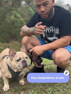 Gracias a todos 🙏🏽🙏🏽 #akabull #akabulls #frenchbulldog #french #perros #perro #dog #bulldog #paratiiiiiiiiiiiiiiiiiiiiiiiiiiiiiii #fypツ #viralvideo #foryoupage 