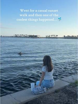 This might have been the best night of my life🥹🤩🐬 #sunsetwalk #stpetepier #dolphin #beachlife 