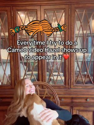 Every time I try to do a #cameo video Hazel shows up to appear in it ❤️ #tamierin #pippilongstocking #bts #fyp #dogsoftiktok 