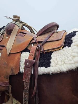 I wanted to take a moment for the pad🥲🖤🤍 I asked Jimbo for a checkered pulled wool pad for Christmas and @Priddy Beadwork & Tack did deliever!🤩 Thank you Jim and thankyou @Priddy Beadwork & Tack   #western #pulledwoolpads #stormcloudswag #cowboytiktok #cowgirlsoftiktok⚡️ 