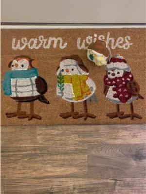 Was gifted the perfect doormat…who has the other two for me that match?? #targetbirds 