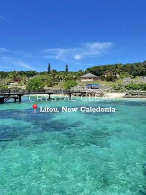 Crystal Clear 🤣 This man's commentary needs to go viral. Getting off the ship in Lifou Island, New Caledonia. #lifouisland #newcaledonia #crystalclear #beach #loyaltyislandsprovince 