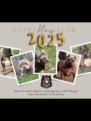 🎉✨ Happy New Year! ✨🎉 As we step into 2025, we want to take a moment to thank each and every one of you for your support, trust, and love for our [American Bully breeding business]. 🐾 Your belief in us and our dogs means the world, and we’re so grateful for this journey we’re on together. Here’s to a year full of blessings, success, and growth for us all! May your 2025 be filled with joy, love, and cherished moments with your furry companions. 🐶💖 From our family to yours, Happy New Year! Cheers to what’s ahead! 🥂 #NewYearBlessings #ThankYou #AmericanBullyLove #NewYearNewGoals