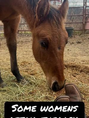 I mean honestly, what’s one more 🤷🏻‍♀️ #horses #dun #cowpony #stud #prospect #oklahoma 