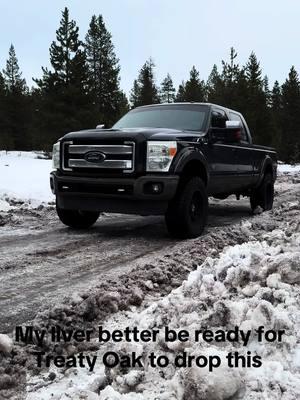 They can’t miss #ford #powerstroke #turbo #diesel #treatyoakrevival #treatyoak #steelbody #sixseven #kingranch #f350