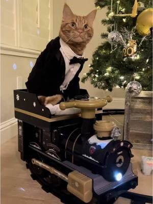 Happy New Year! 🥳🎉🚂❤️🍾🥂 Wishing you the best year ever! 🥰 Happy 2025! ❤️🐈🦙 Choo Choo Ch’ Boogie with @Alpha Rhythm Kings 🎶🎺 #happynewyear #2025 #happycat #catsoftiktok #tiktokcats #cat #smile #bekind #kindness #fashion #Love #beautiful #goodvibes #happiness #me #tigerjojo #video