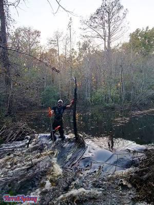 These Beavers Are On Steroids! 🤯😭 || Beaver Dam Removal!  #beaverdamremoval #beaverdam #downstreamculvert #damremoval #beavers #dam #drain #draining #water #nature #unclogging #creek #terrellspivey #fypシ゚ #foryoupageシ #foryou #viralreels #viralvideo #viralpost #foryoupageofficiall #fyp #fyppppppppppppppppppppppp #tiktok #tiktokreels #shorts #tiktokvideos #viraltiktokvideo 