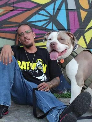 #Batman #batmangang #dogsofttiktok #southbelt #bullypitbull #southside #Houston #Tx #mydog #mypitty 