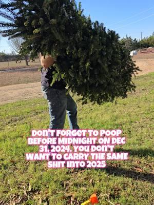 don't forget to poop before night Dec. 31, 2024 . You don't want to carry the same shit into 2025! Gave our Christmas tree to our goats for a holiday snack!  #goatsoftiktok #lamanchagoat #dairygoats #homesteadtiktok #homesteading #homestead #livestock #smalllivestock #livestock #familygoat #christmas #christmastree #goatseattrees #christmasfood