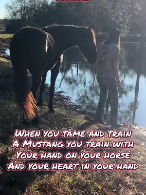 #deafcowgirl #deafhorsetrainer #horsetrainer #fyp #2024 #blmmustang #acetheonaqui #ashwintheonaqui #shawavemountainshma #onaquimustang #cowgirl 