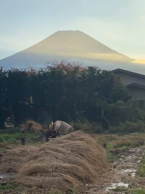 Wishing everyone a happy new year! Heres another Japan Vlog! This one we are traveling to Mt Fuji and its surrounding area!  #travelingaroundtheworld #travelingin2025 #travelin2025 #michigandersbelike #mtfuji #japantravel2025 #japantravelguide #japanthings #travelingjapan #mtfujijapan #teaceremony 