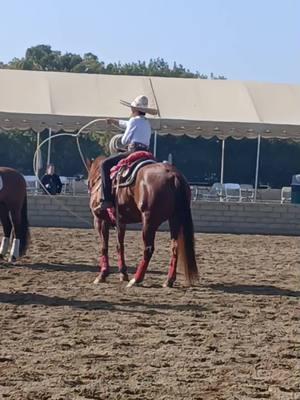 #RoseParade #2025 #tournamentofroses #Equestfest #CowboyWorld #RodeoLife #RodeoFamily 