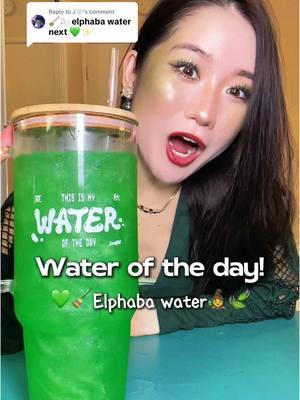 Replying to @J🤍 let’s make an Elphaba themed water today doing another singalong for the last day of the year💚🧙‍♀️🧹✨ it was so much fun making this video hope you like it🥰🥹 thanks everyone for the support this year, can’t wait to make more memories with u in 2025!🫶 what was the most fun thing you did in 2024?!👀✨ #summerfallsake #sake #drinktok #summerdrinks #wateroftheday #watertok #sparklingsake #water #stayhydrated #drinkwater #waterrecipe #flavoredwater 