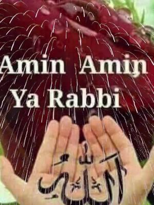 #almuslim #mulsimtiktok #islamic_video #ameen 